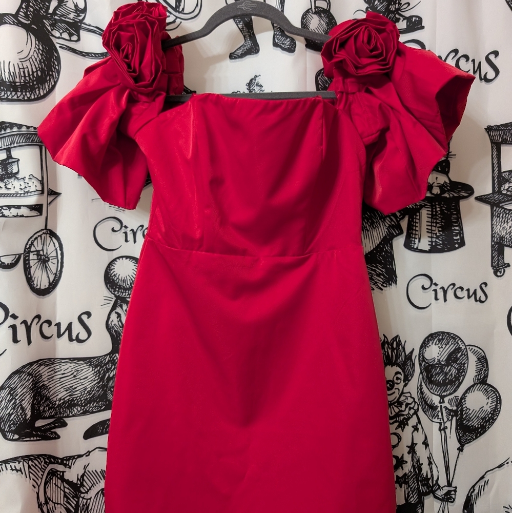 Short, off the shoulder little red dress. Puffy sleeves with roses. Zipper on ba